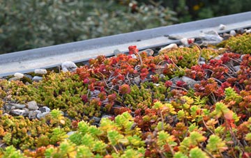 the cost of Chandlers Green green roof installation