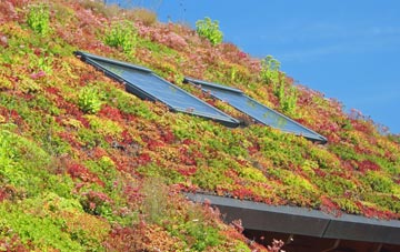 Chandlers Green living roof systems